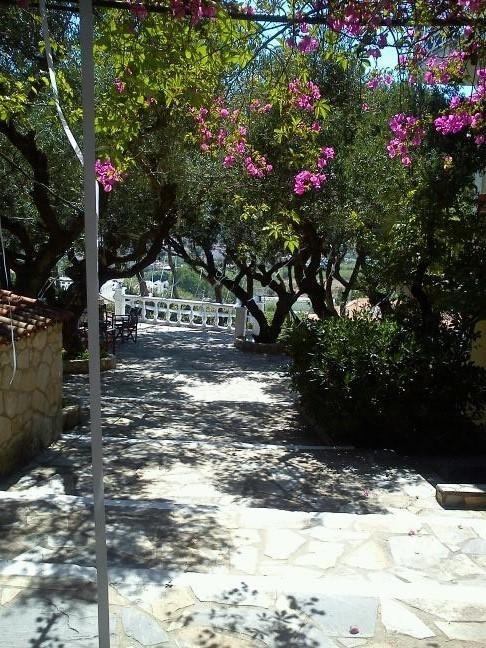 Sofos Apartments Tsilivi  Cameră foto